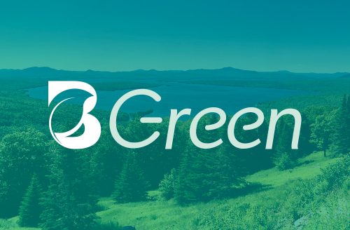 The logo for Brattle's BGreen, Brattle's firmwide sustainability initiative. The logo is a B with a leaf overlayed on it, followed by