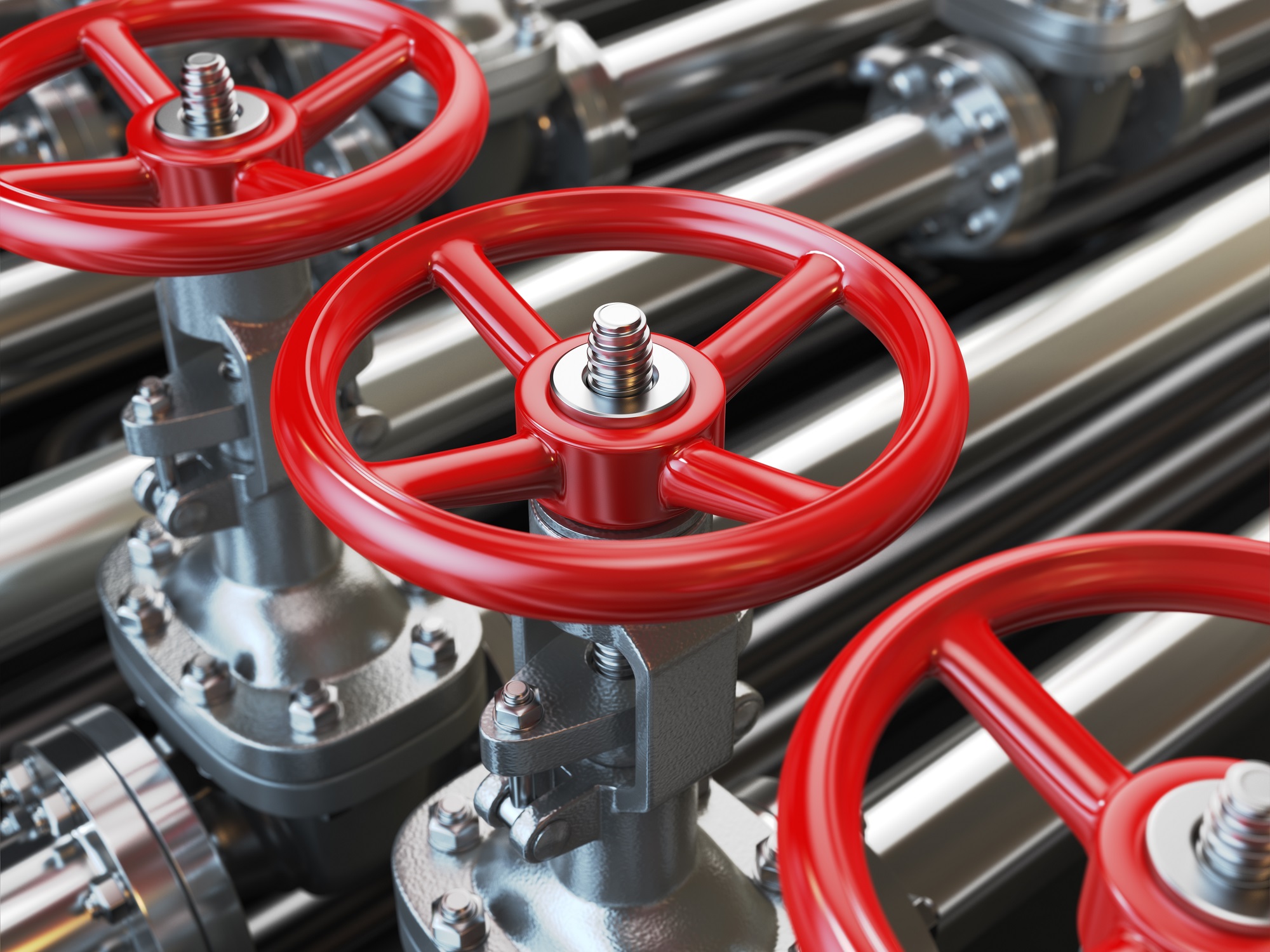 Renewable Natural Gas Supply and Demand in North America