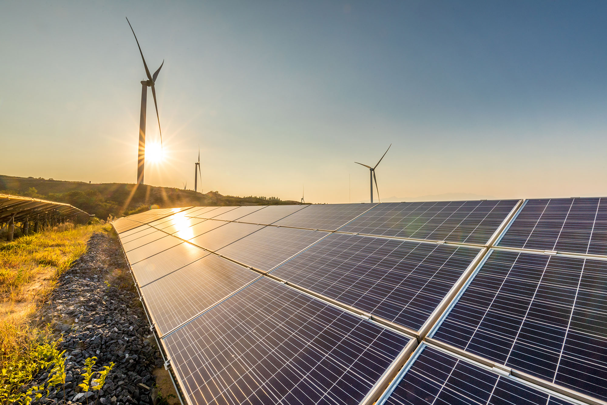 A stock photo of solar power panels with wind turbines in the background